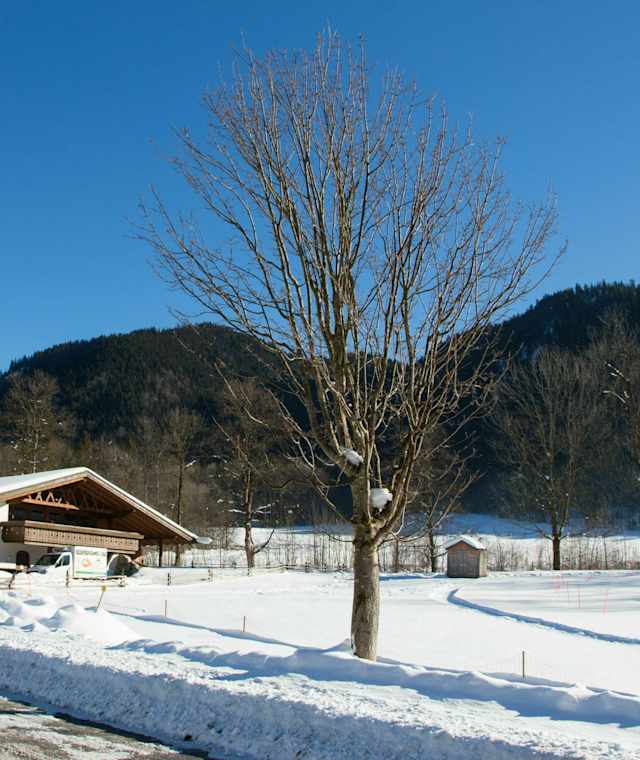 Winterwanderung Enzianweg