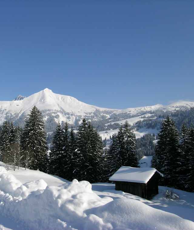 Winter-Rundwanderweg Lauenensee