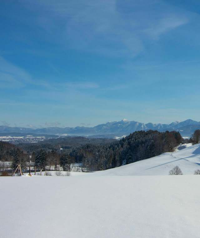 Winterwanderung Rantscher Weiher