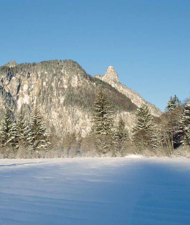 Winterwanderung Weidmoos