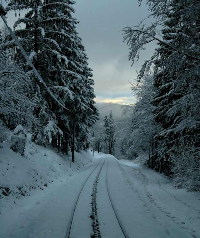 Winterwanderung zur Hengsthütte