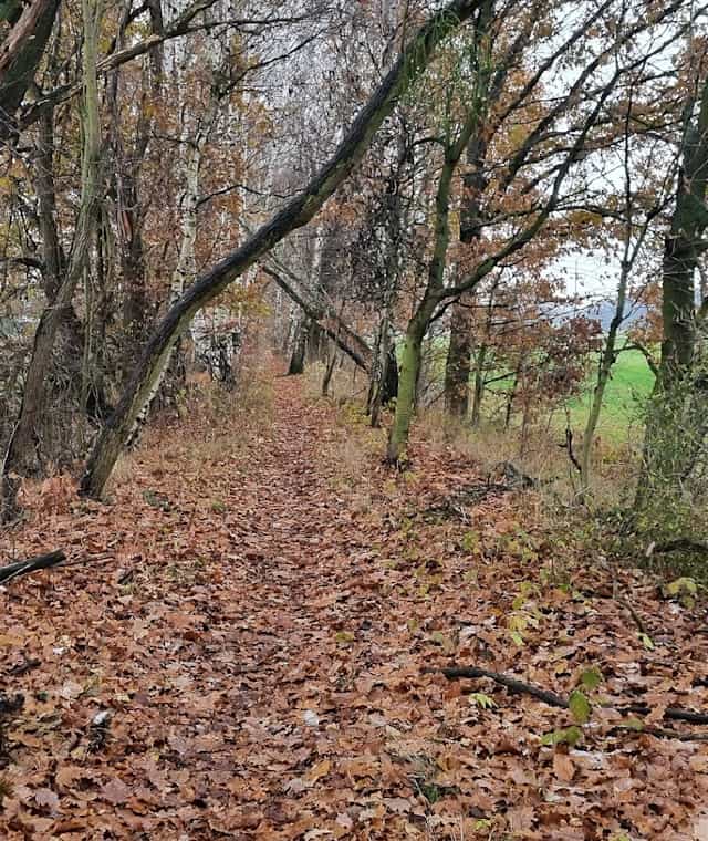 Auf der Winterwanderung
