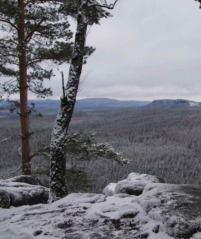 Schneebergblick
