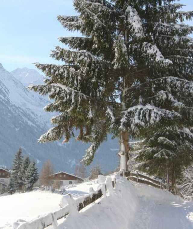 Idyllische Winterwanderung von Fulpmes nach Madraz im Stubaital