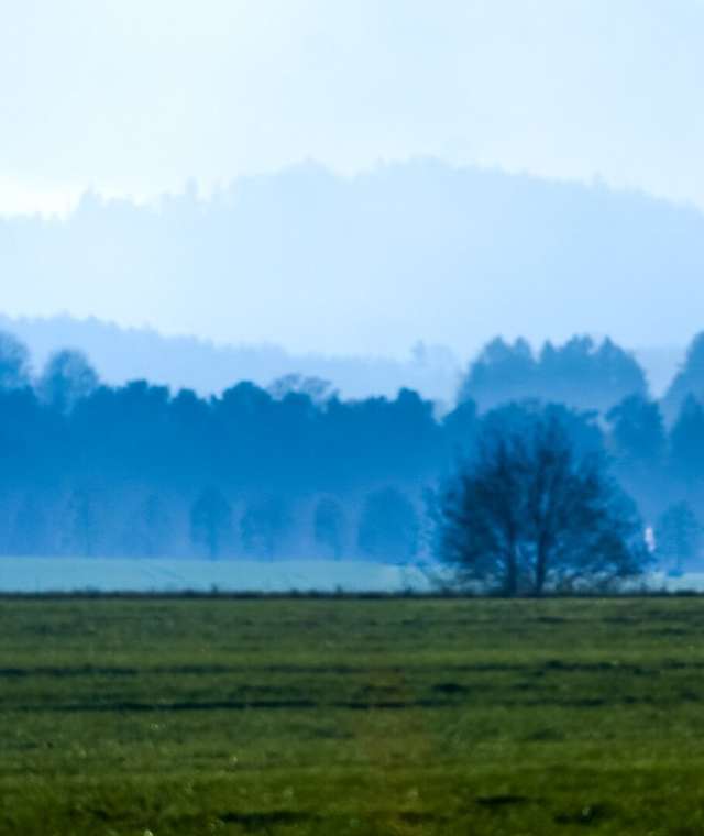 Auf dem Gohrischen Folgenweg