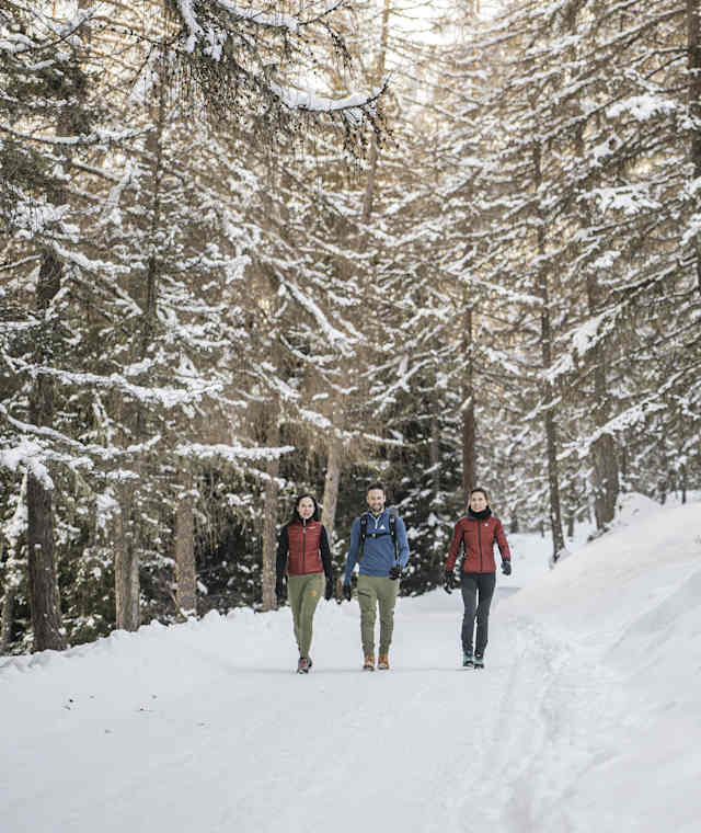 Winterwanderung Haidenberg