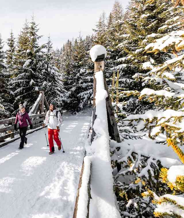 Winterwanderung bei Davos