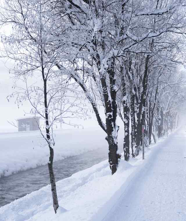 Winterwanderung am Langwasser