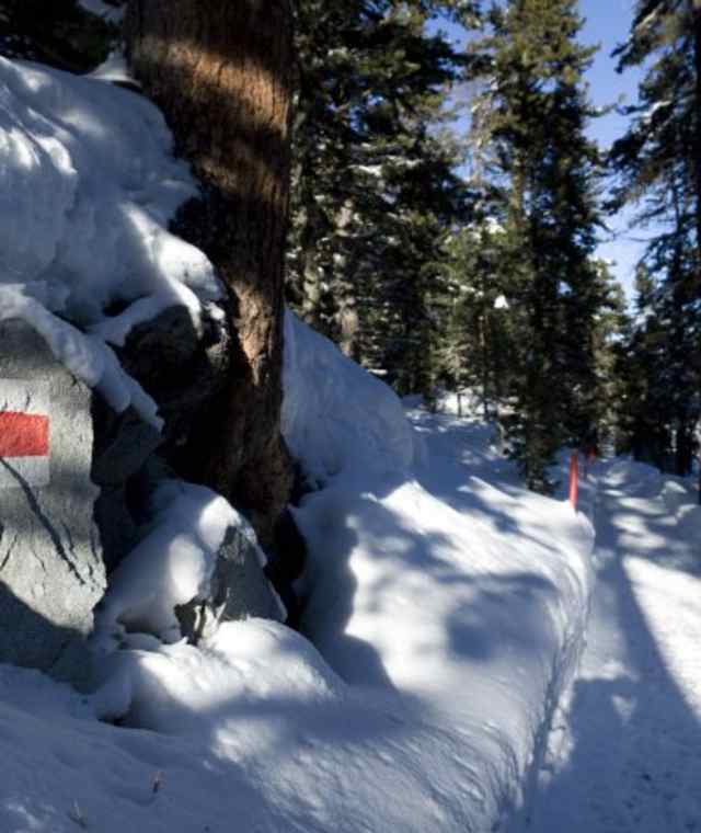 Der Winterwanderweg ist gut markiert.