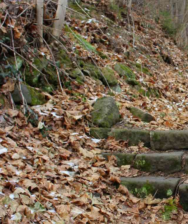 Weg hinauf zum Burglehnpfad