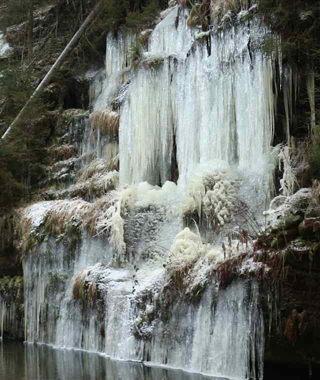 Eiszapfen im Polenztal