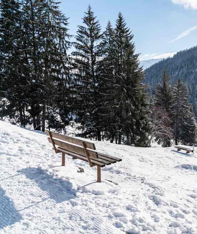 Schöner Pauseplatz mit guter Sicht