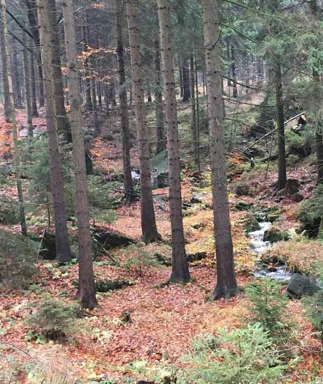 An der dürren Biela