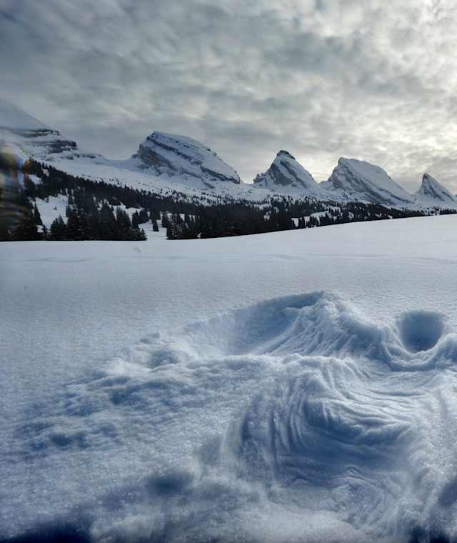 Blick zu den Churfirsten