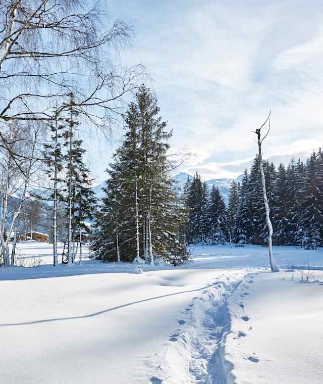 Das Hochmoor Wasenmoos ist auch im Winter eine Attraktion.