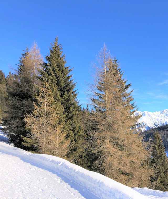 Schöne Ausblicke vom Winterwanderweg