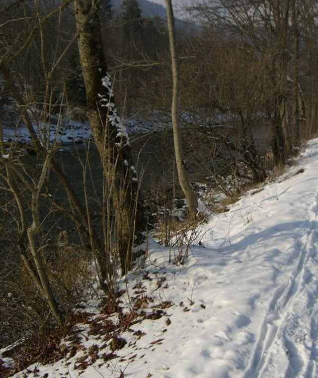 Entlang der Traun