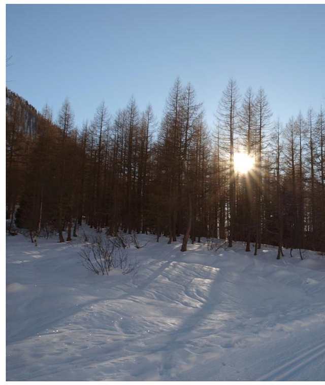 Winterwanderweg Blatten Kühmatt