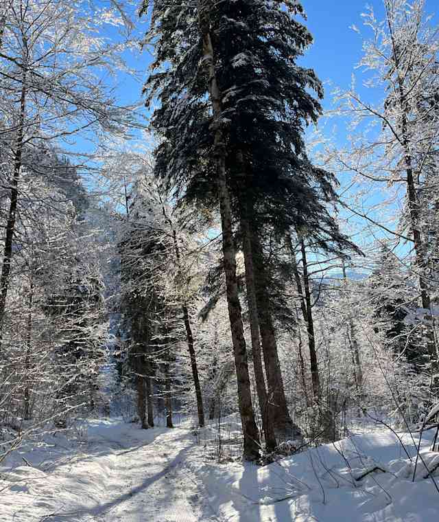 Winterwanderweg Garsella-Buchboden