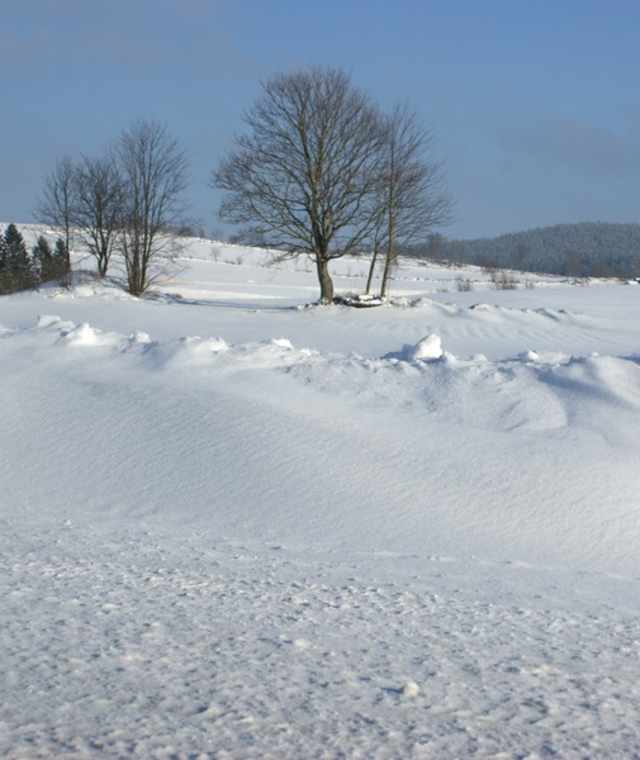 Winterwanderung bei Königswiesen
