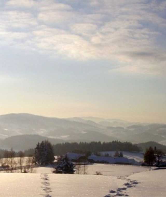 Winterlandschaft