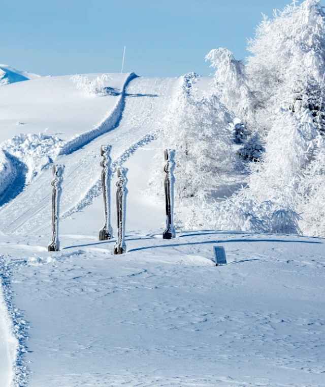 Winterwanderweg Feldis