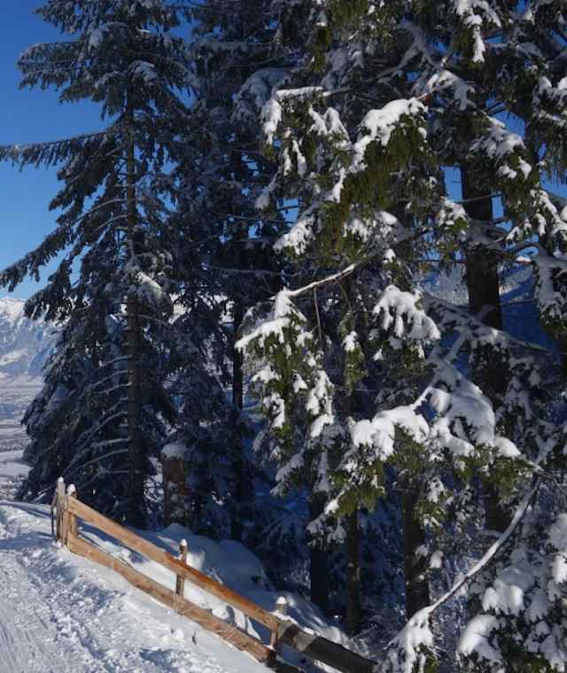Der Winterwanderweg gibt immer schöne Ausblicke