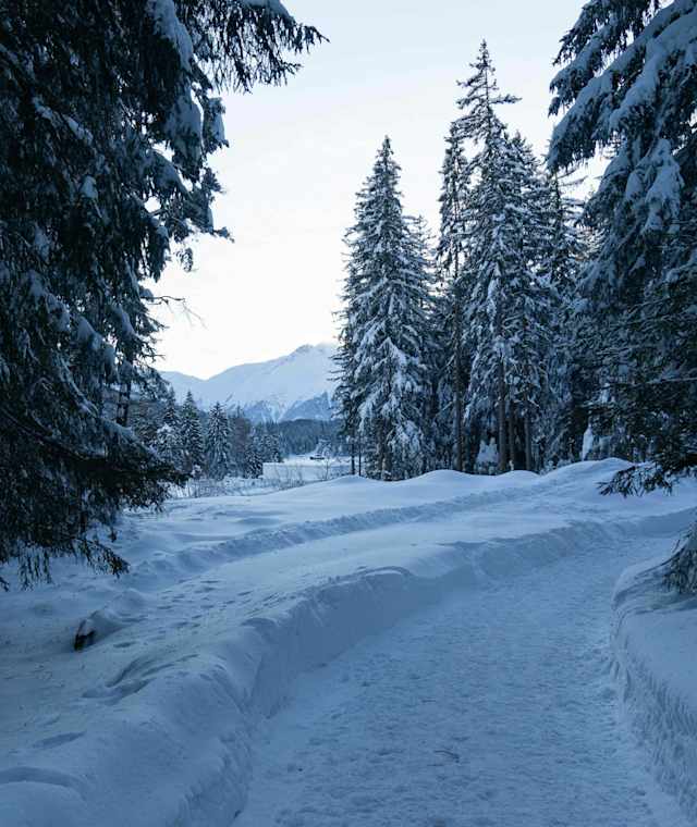 Winterwanderung um den Gschwandkopf