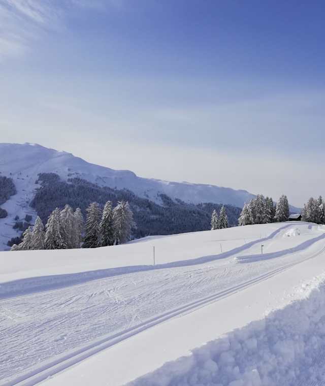 Winterwunderland am Mittelberg