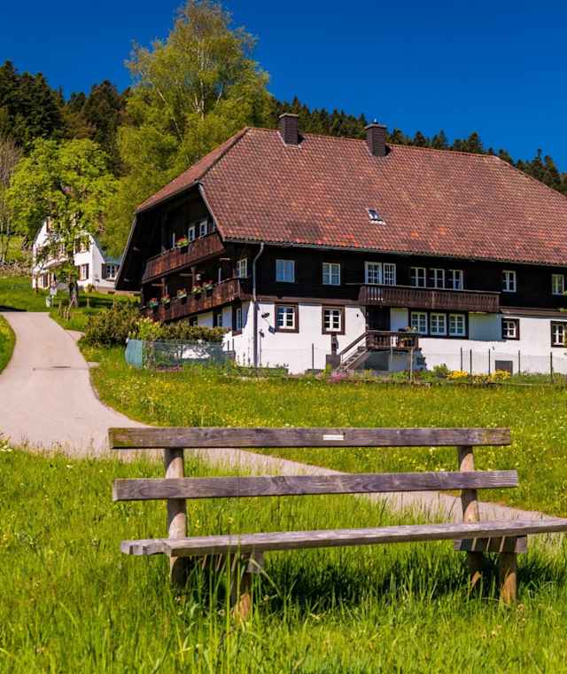Schluchtensteig