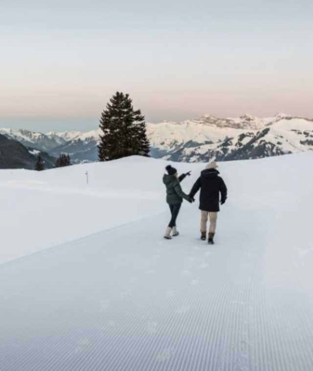 Aussichtsreiche Winterwanderung