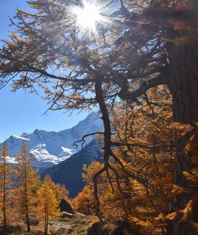 Engeloch - Wysse Bode- Simplon Dorf