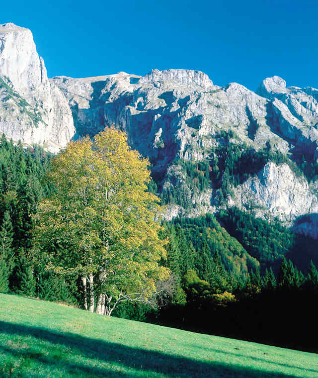 Blick zum Hochschwabmassiv