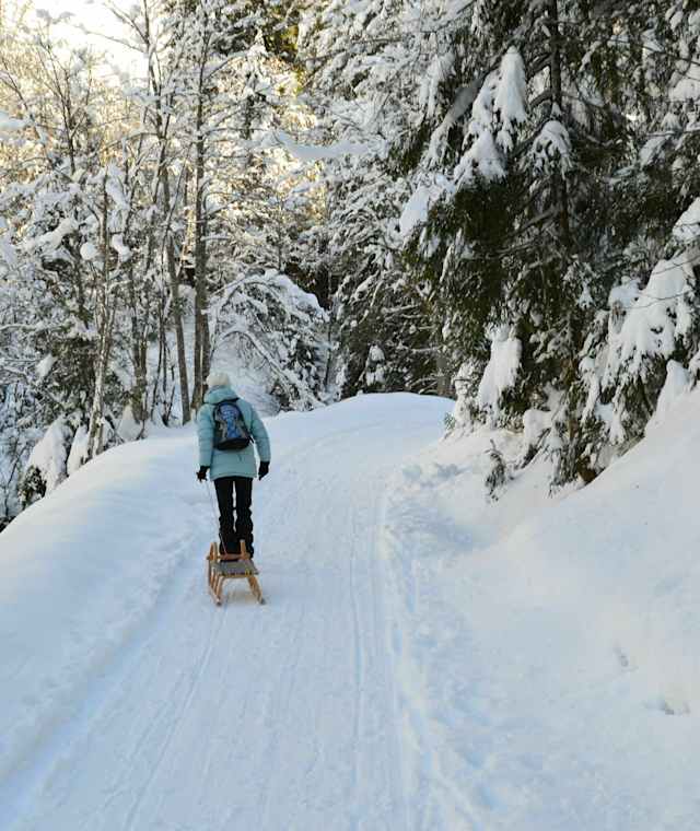 Aufstieg auf der Naturrodelbahn Faulbaumgartenalm 