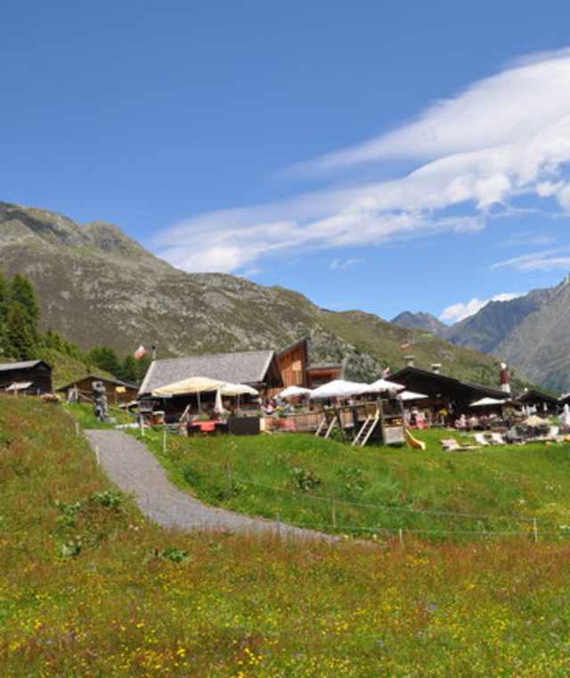 Almwiesen um die Gampe Thaya Hütte