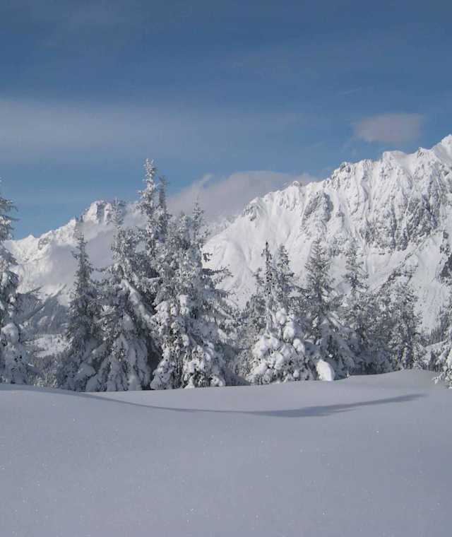 Winterwandern am Grünegg