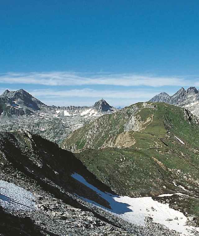 Pazolastock