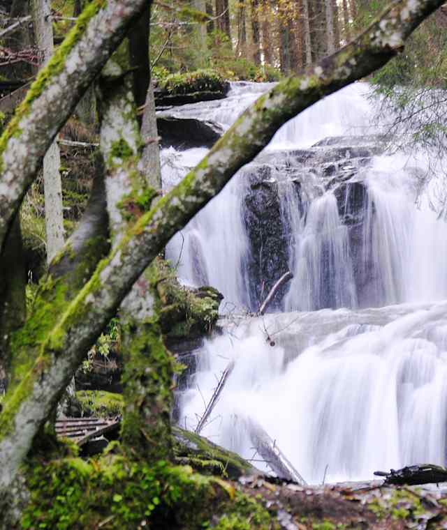 Ein Wasserfall im Naturpark