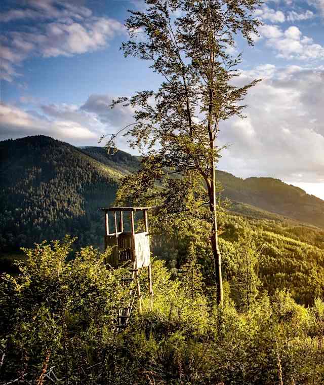 Zweitälersteig Etappe 4