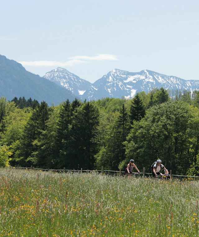 Landschaft mit Radfahrer