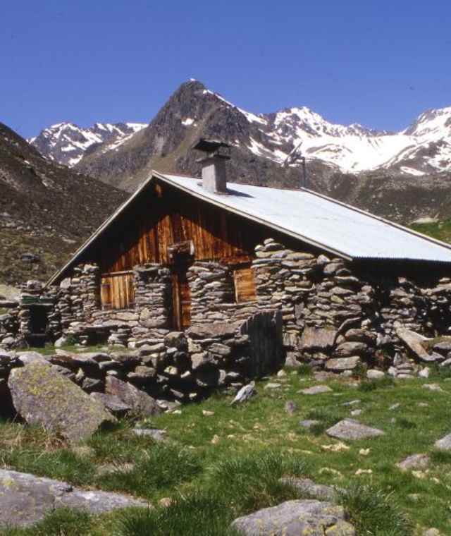 Zwieselbach Alm