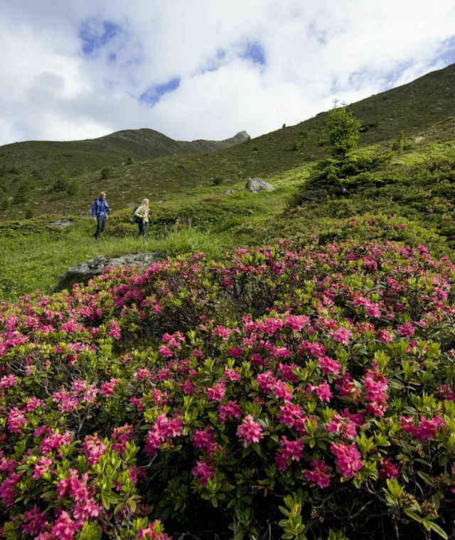 Zwieselbachtal