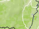 Zum Orensfels in der Südpfalz