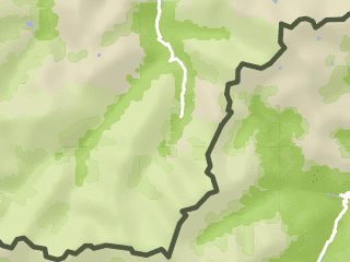 Obergurgler Zirbenwald im Ötztal